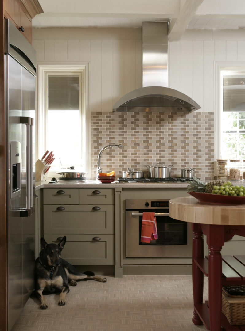 A kitchen with a dog sitting in the room