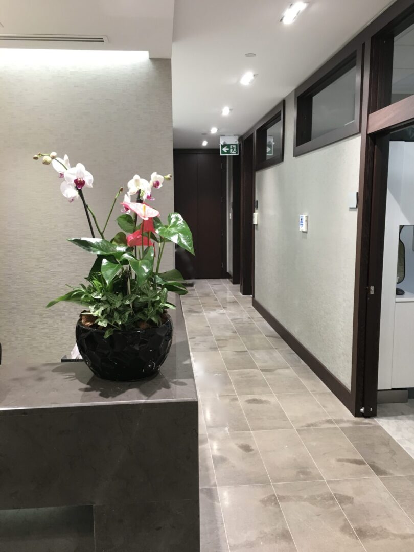 Dental office reception to operator hall with flower vase